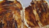 Mums Vegemite toast photo causes outrage